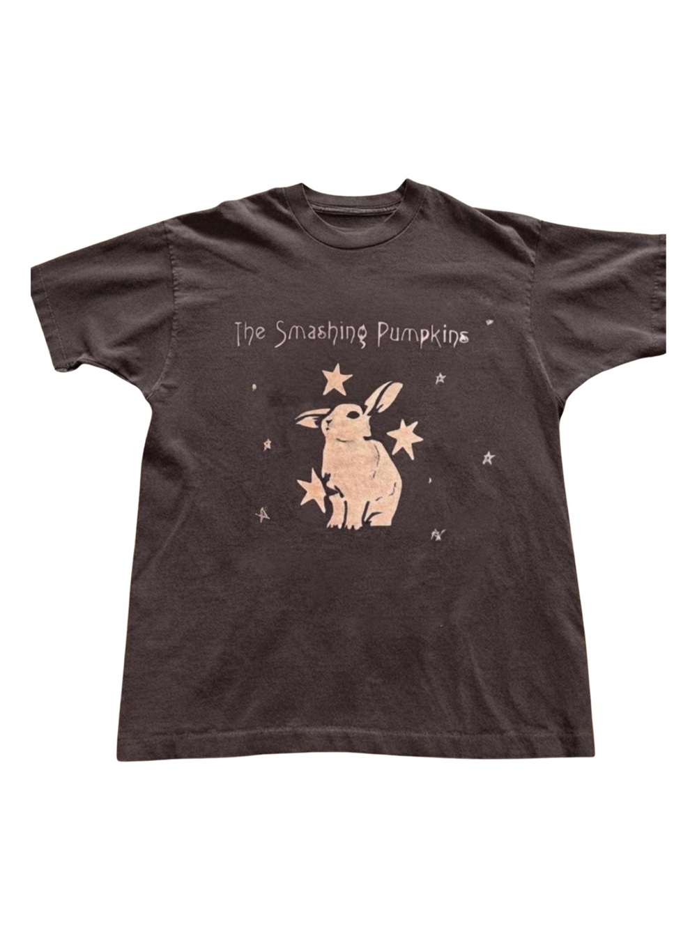 Gildan Brown Graphic Tee with Bunny